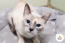 Кюнна