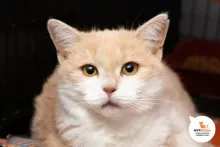 Мэрил