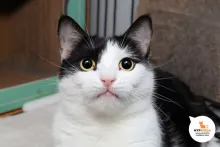 Клаудия