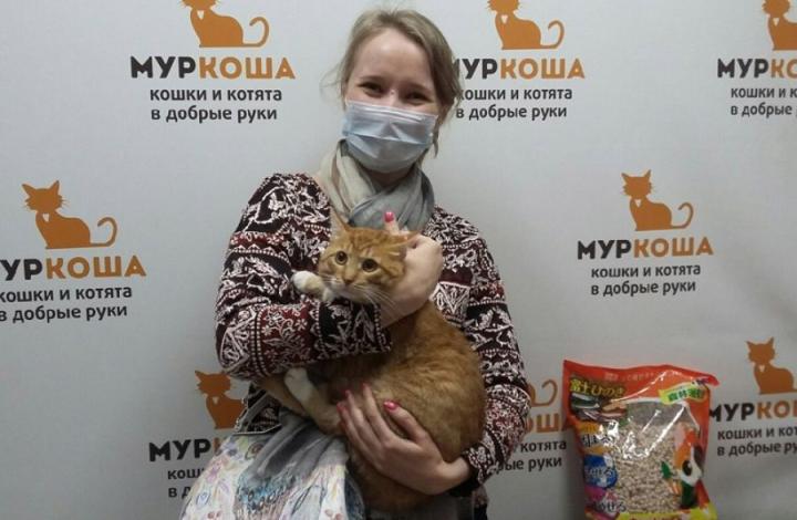  Сыр