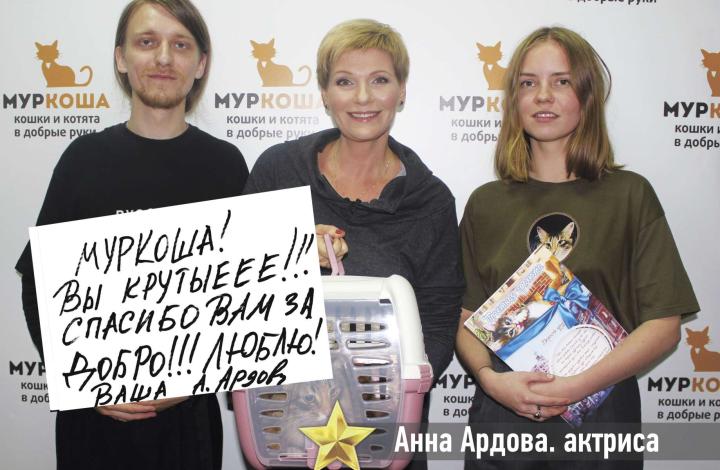 Муркоша - кошки и котята в добрые руки