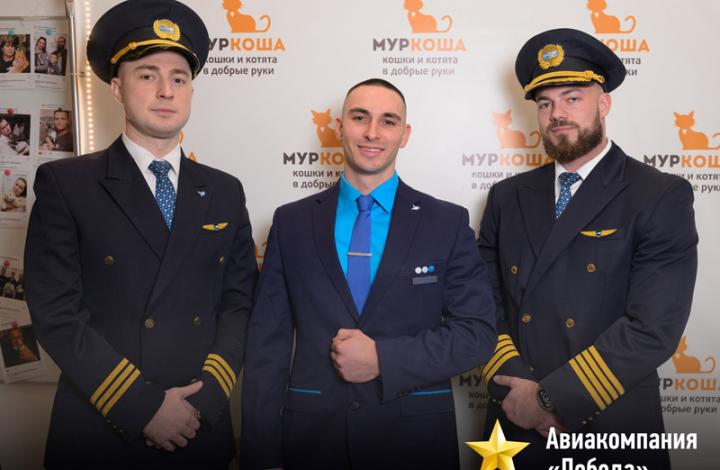 Муркоша - кошки и котята в добрые руки