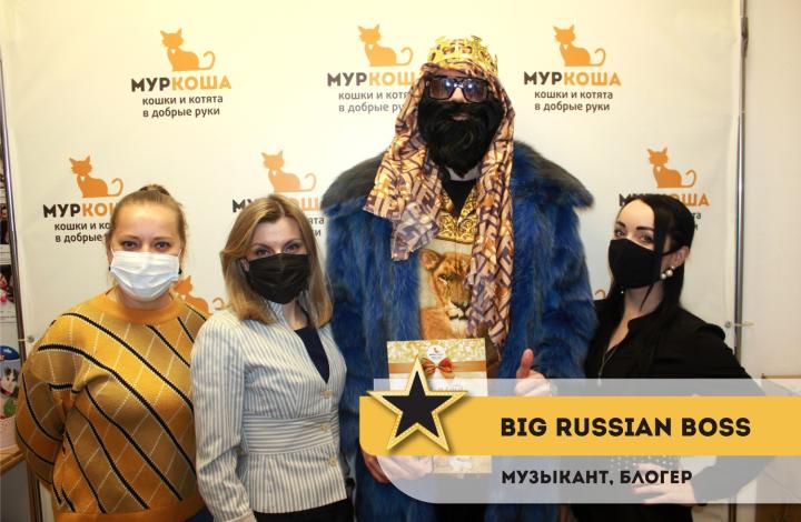 Муркоша - кошки и котята в добрые руки
