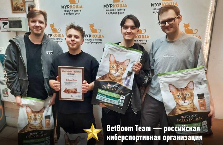 Муркоша - кошки и котята в добрые руки