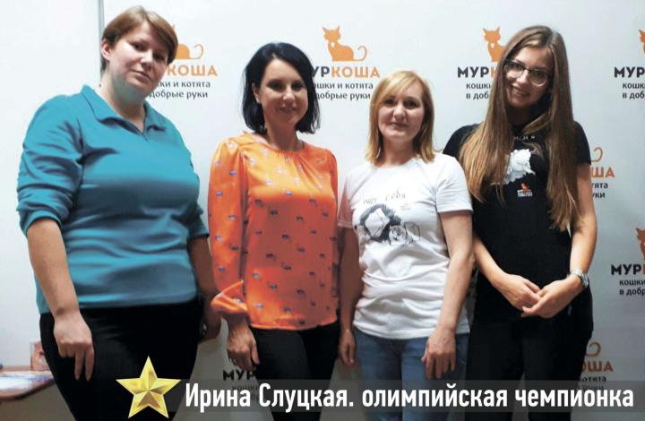 Муркоша - кошки и котята в добрые руки