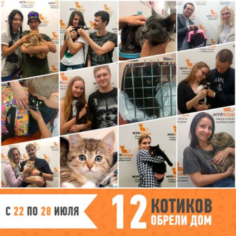 Итоги работы с 22 по 28 июля