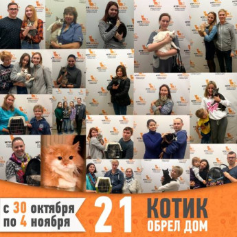 Итоги работы с 30 октября по 4 ноября
