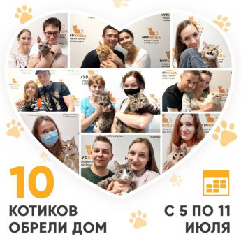 Итоги работы Adoption центра с 5 по 11 июля 2021г.