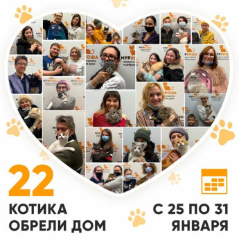 Итоги работы Adoption центра с 25 по 31 января 2021г.