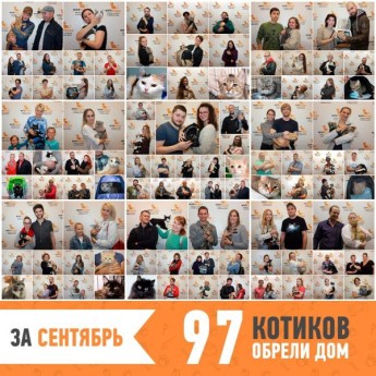 Итоги работы за сентябрь 2019