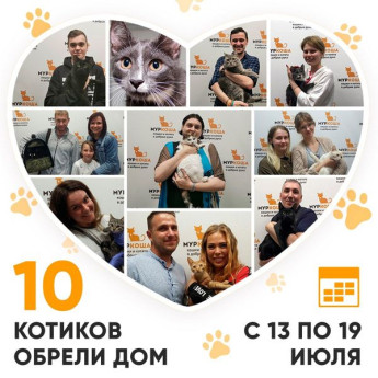 Итоги работы Adoption центра с 13 по 19 июля