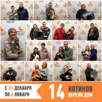 Итоги работы с 31 декабря по 6 января