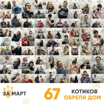 Итоги работы Adoption центра за март 2021г.