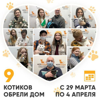 Итоги работы Adoption центра с 29 марта по 4 апреля 2021г.
