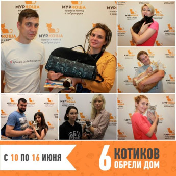 Итоги работы с 10 по 16 июня
