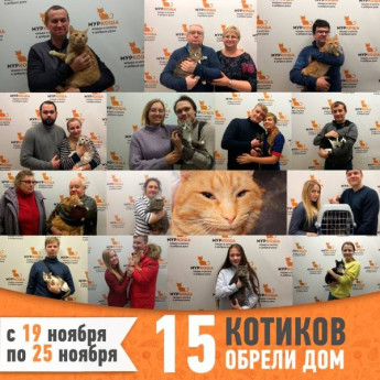 Итоги работы с 19 по 25 ноября
