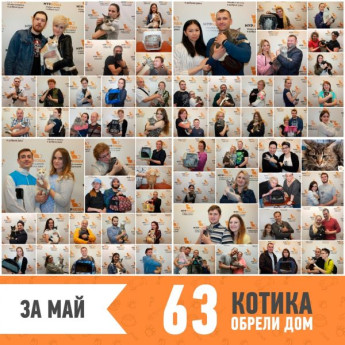 Итоги работы за май 2019