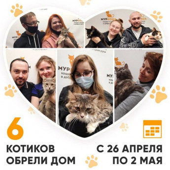 Итоги работы Adoption центра с 26 апреля по 2 мая 2021г.