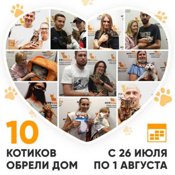 Итоги работы Adoption центра с 26 июля по 1 августа 2021г.