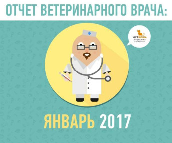 Отчет ветеринарного врача. Январь 2018