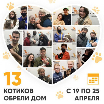 Итоги работы Adoption центра с 19 по 25 апреля 2021г.