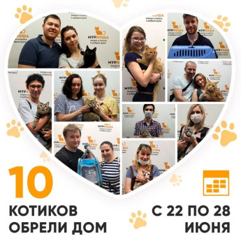 Итоги работы Adoption центра с 22 по 28 июня