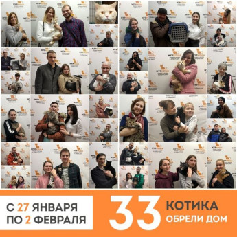 Итоги работы приюта с 27 января по 2 февраля