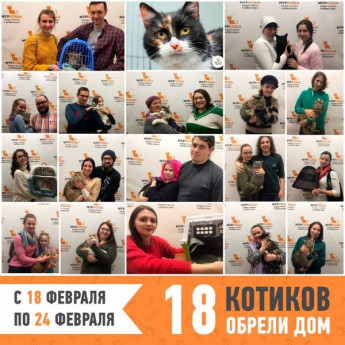 Итоги работы с 18 по 24 февраля