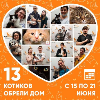 Итоги работы приюта с 15 по 21 июня
