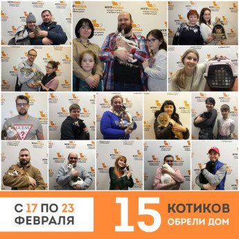 Итоги работы приюта с 17 по 23 февраля