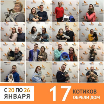Итоги работы приюта с 20 по 26 января