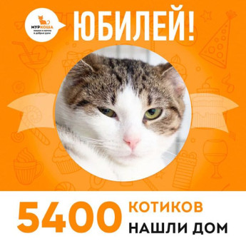 Кошечка Сауле стала 5400-ой выпускницей "Муркоши"!