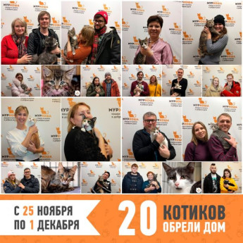 Итоги работы приюта с 25 ноября по 1 декабря