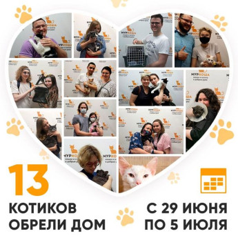 Итоги работы Adoption центра с 29 июня по 5 июля