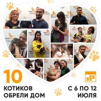 Итоги работы Adoption центра с 6 по 12 июля