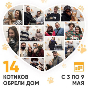 Итоги работы Adoption центра с 3 по 9 мая 2021г.