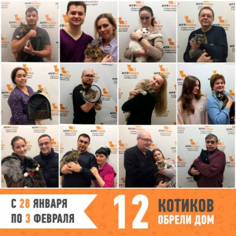 Итоги работы с 28 января по 3 февраля
