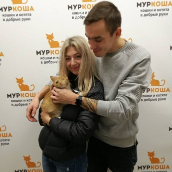 Итоги работы с 16 по 22 октября