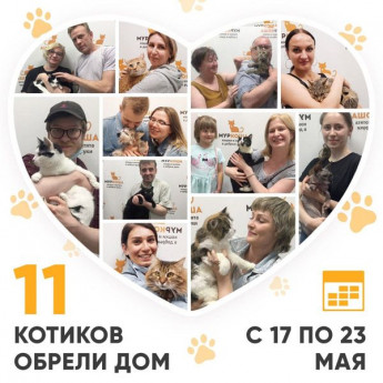 Итоги работы Adoption центра с 17 по 23 мая 2021г.