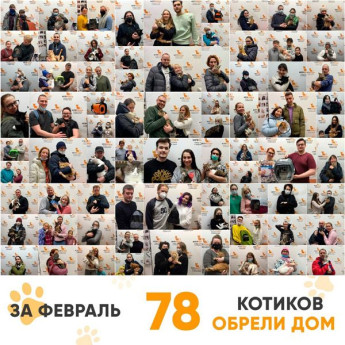 Итоги работы Adoption центра за февраль 2021г.