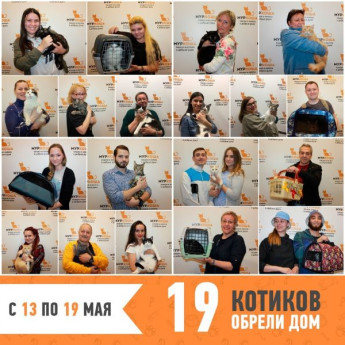 Итоги работы с 13 по 19 мая