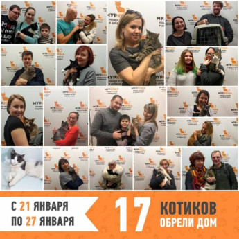 Итоги работы с 21 по 27 января