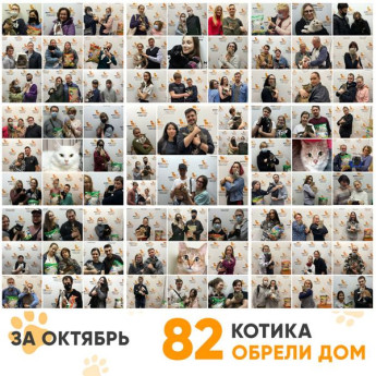 Итоги работы Adoption центра за октябрь 2020