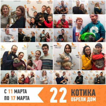 Итоги работы с 11 по 17 марта