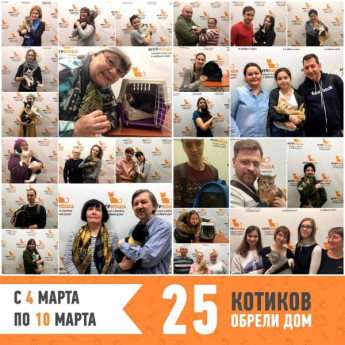 Итоги работы с 4 по 10 марта