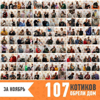 Итоги работы за ноябрь 2019