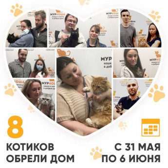 Итоги работы Adoption центра с 31 мая по 6 июня 2021г.