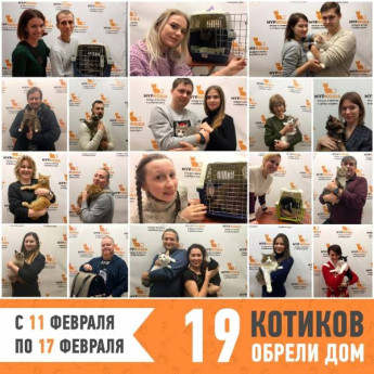 Итоги работы с 11 по 17 февраля