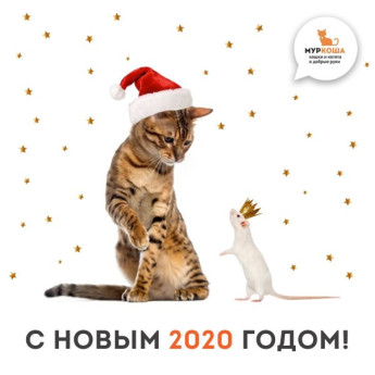 Итоги трудного, но очень результативного 2019 года