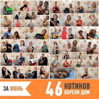 Итоги работы за июнь 2019